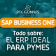 Sap business one erp para pymes