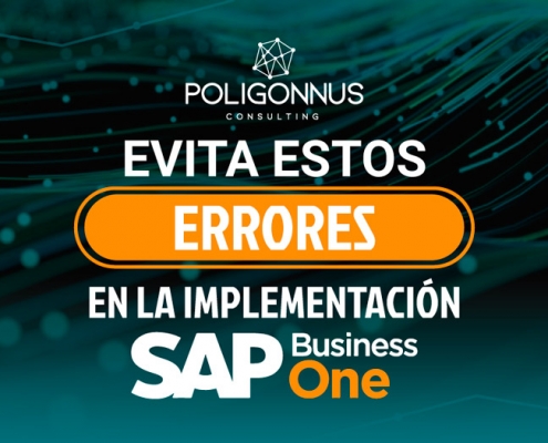 errores implementacion sap business one